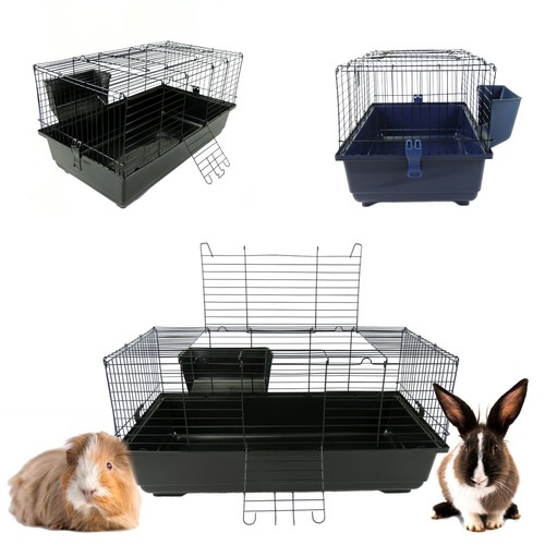 Rabbit guinea pig indoor - pig, cages