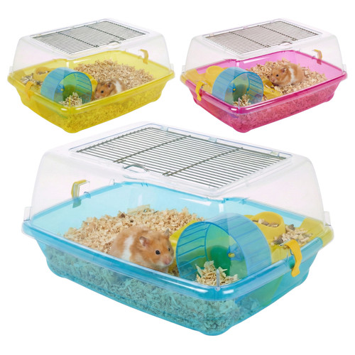 Hamster guinea pig pet animal - hamster,