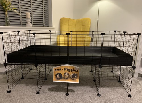 4x2 cage with stand and - with,