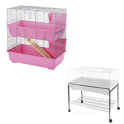Rabbit guinea pig - guinea, cage