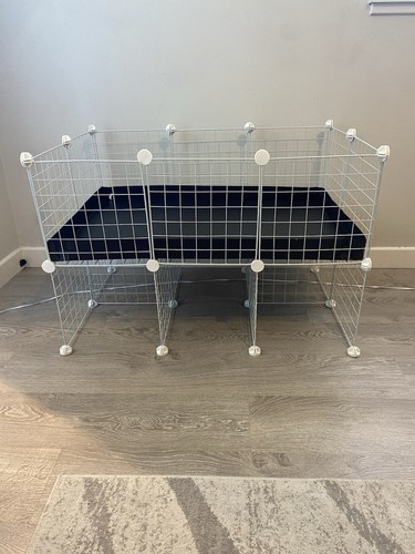 New 3x2 guinea - new,