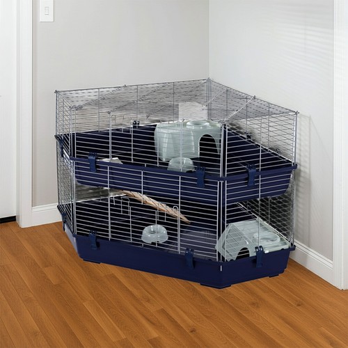 Rabbit guinea pig corner - rabbit,