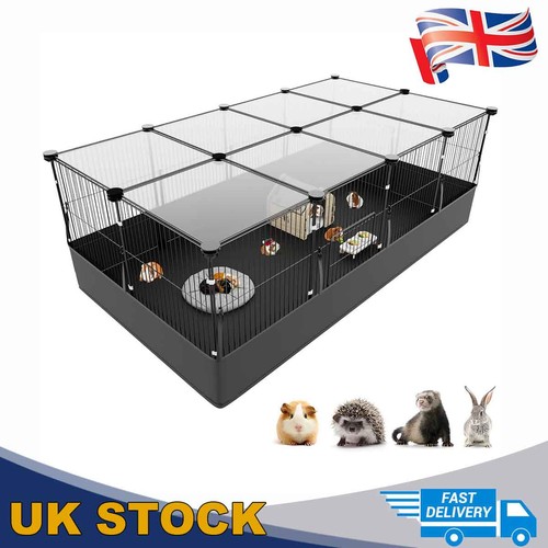 Aystkniet guinea pig - aystkniet,