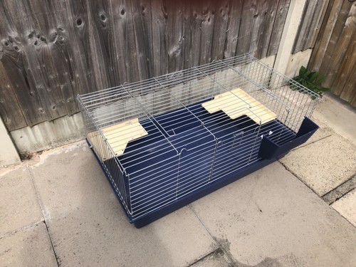 Guinea pig cage - guinea,