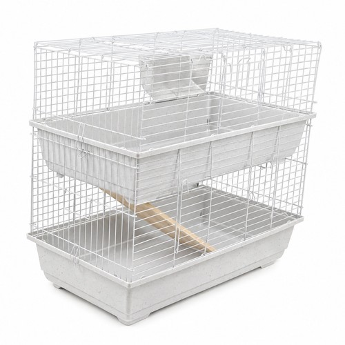Rabbit guinea pig - rabbit, double