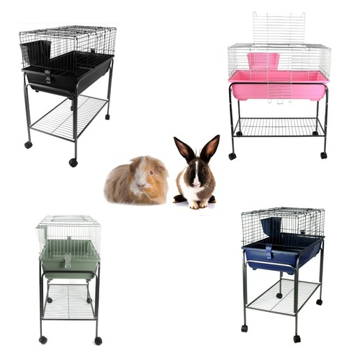 Rabbit guinea pig - pig, cage