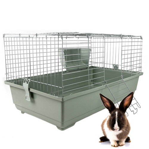 Rabbit guinea pig indoor - pig, cage