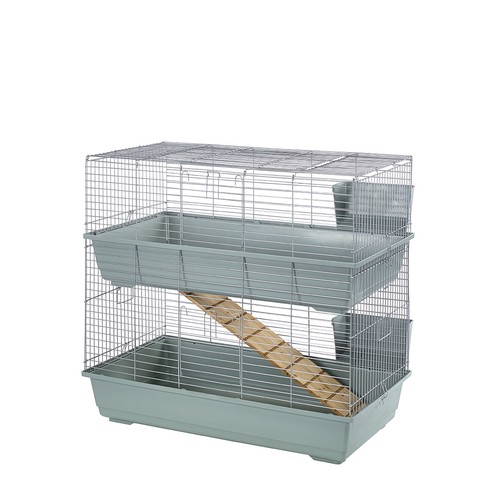 Rabbit guinea pig - rabbit,