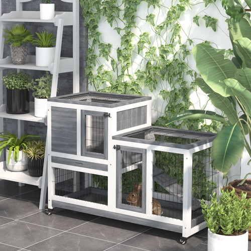 Wooden rabbit hutch - rabbit,