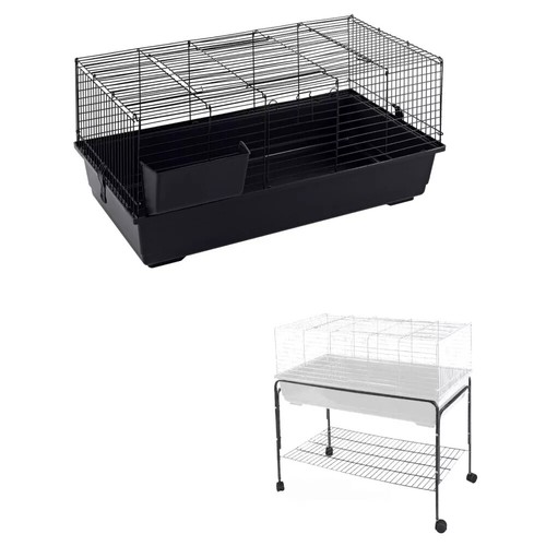 Rabbit guinea pig - pig, bunny