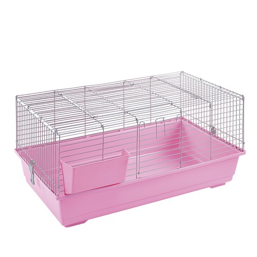 Rabbit guinea pig - rabbit, indoor