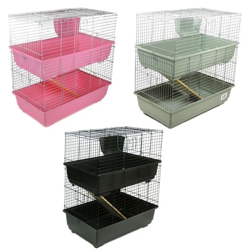 Rabbit guinea pig - rabbit,