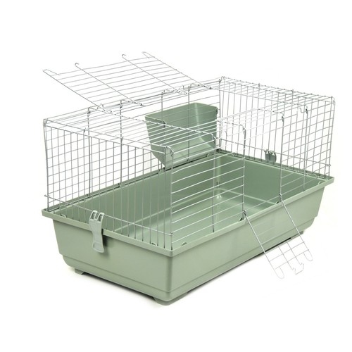 Rabbit guinea pig large - rabbit,