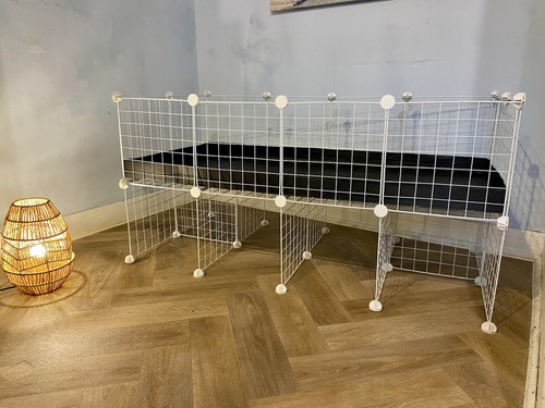 New 4x2 guinea pig - 4x2,