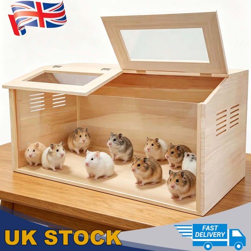 Solid wood hamster - guinea, pig