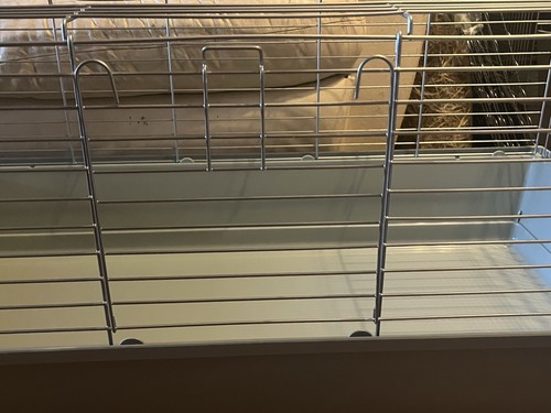 Rabbit guinea pig - rabbit, cage